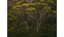 Dreamz Australia – Discover the Land Down Under
