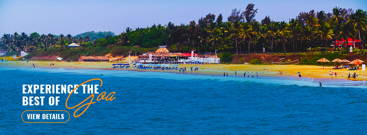 Experience the best of Goa