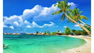 Dreamz North Goa Fun & Party Tour