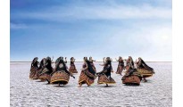 Dreamz Rann of Kutch – Where Luxury Meets Infinity