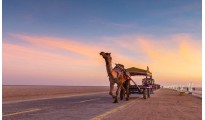 Dreamz Rann of Kutch – Where Luxury Meets Infinity