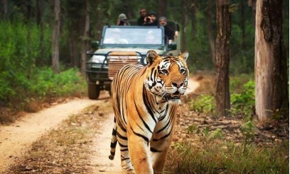 Dreamz Tiger Trails & Heritage