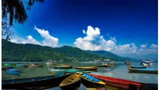 Dreamz Chitwan, wildlife & jungle adventure