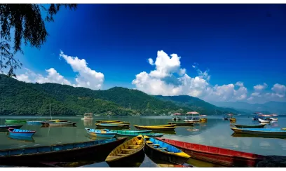 Dreamz Chitwan, wildlife & jungle adventure