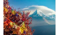Dreamz Chitwan, wildlife & jungle adventure