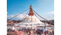 Dreamz Chitwan, wildlife & jungle adventure