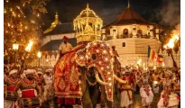 Dreamz Sri Lanka Honeymoon Special