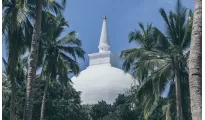 Dreamz Sri Lanka Wildlife & Beach