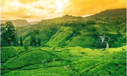 Dreamz Kandy – The Cultural Heart of Sri Lanka