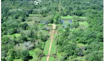Dreamz Sri Lanka Honeymoon Special