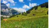 Dreamz Switzerland Honeymoon Escape