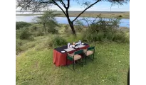 Dreamz Serengeti National Park Safari