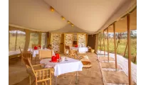 Dreamz Serengeti National Park Safari