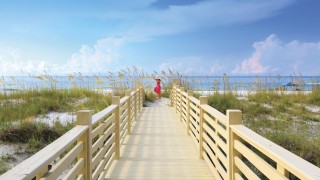 Dreamz Albama, South Ameica Tour