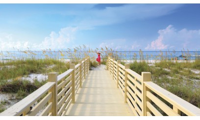 Dreamz Albama, South Ameica Tour