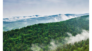 Dreamz Louisiana tour