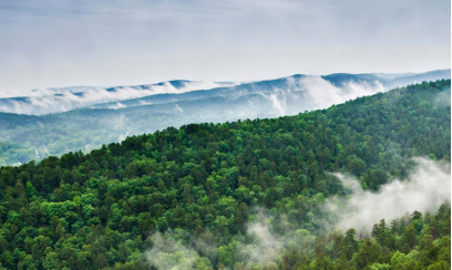 Dreamz Louisiana tour