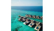 Dreamz Dive & Discover – Maldives Experience